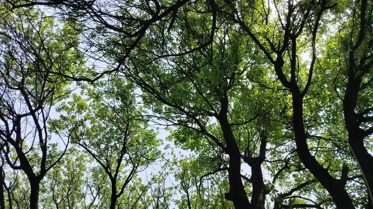 美国十次啦色是什么网站，有哪些实际用途和注意事项？